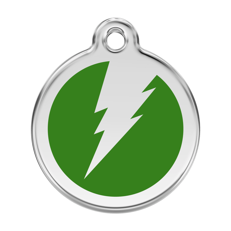 Vue avant - Médaille personnalisée pour chien en émail et acier inoxydable - Design éclair vert - Size L - Red Dingo