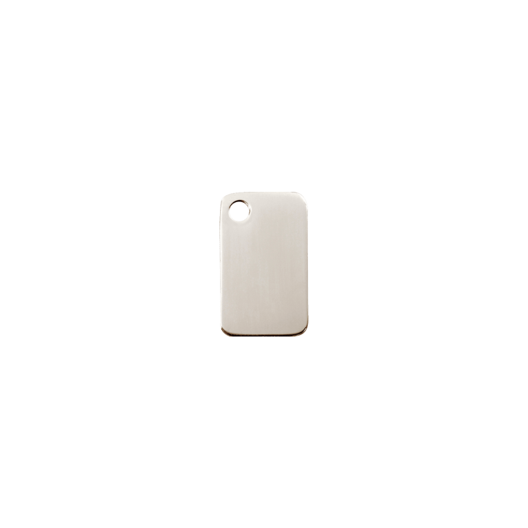 Vue avant - Médaille personnalisable pour chat Red Dingo en acier inoxydable - Size S - Référence : 02-RT-ZZ-SM