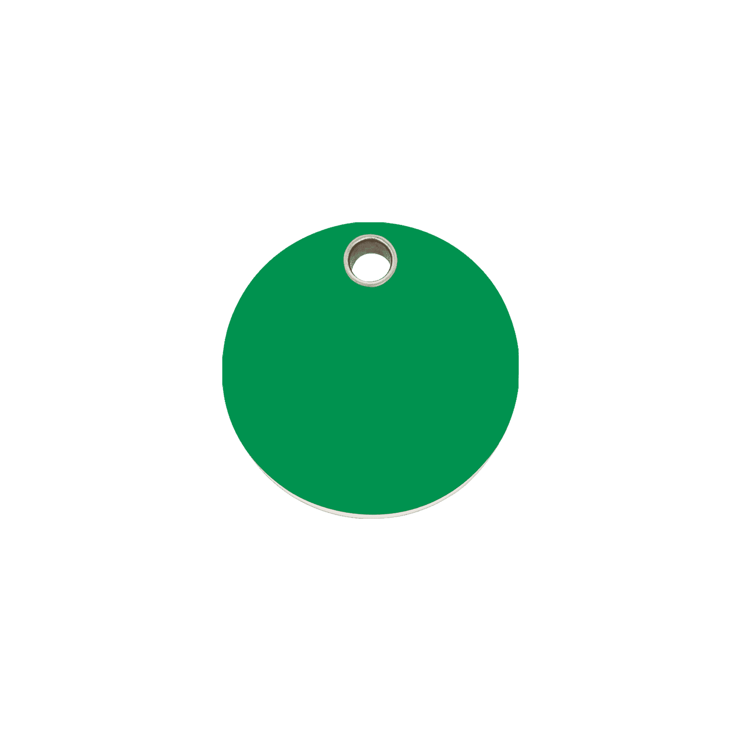 Vue avant - Médaille personnalisable pour chien/chat Red Dingo - Plastique plat vert - Size S - Gravure incluse