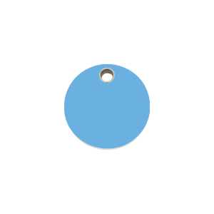 Light Blue Circle Cat or Small Dog ID Tag Small