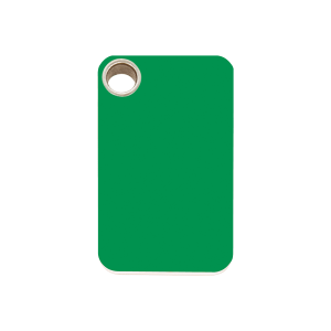 Green Rectangle Dog ID Tag Medium