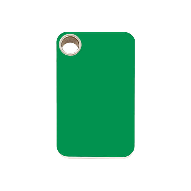 Vue avant - Médaille personnalisable pour chien - Red Dingo - Plastique plat vert - Size M