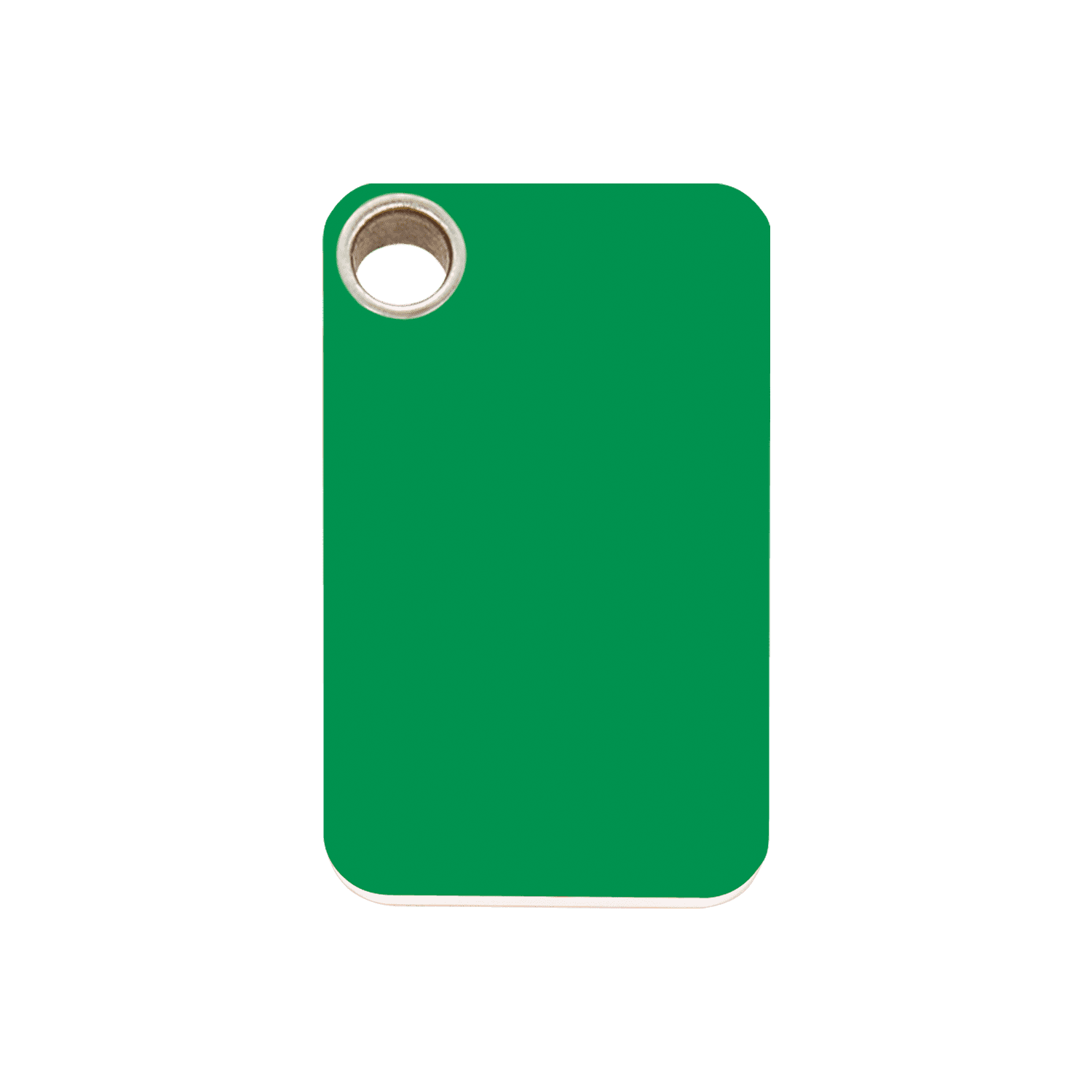 Vue avant - Médaille personnalisable pour chien - Red Dingo - Plastique plat vert - Size M
