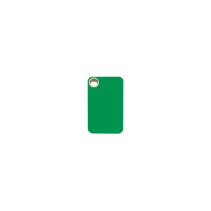 Green Rectangle Cat or Small Dog ID Tag Small