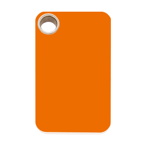 Orange Rectangle Dog ID Tag Large