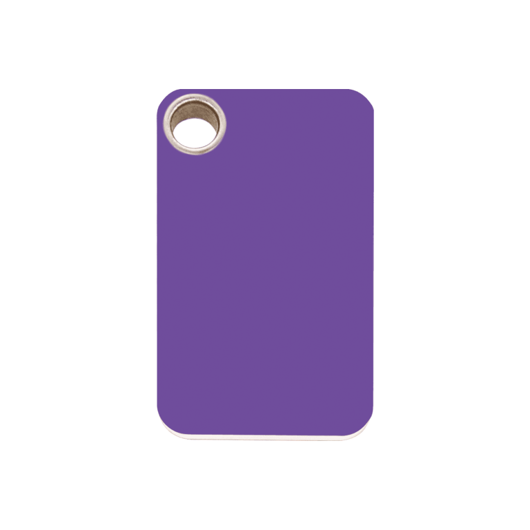 Vue avant - Médaille personnalisée pour chien Red Dingo violet plastique plat - Size M - 04-RT-PU-ME